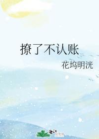 撩了不认账封面