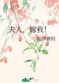 夫人,嫁我!封面