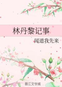 林丹黎记事封面