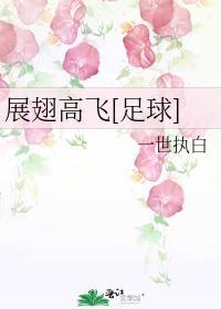 展翅高飞[足球]封面