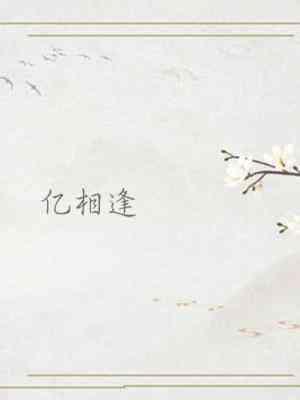 亿相逢封面
