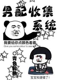 男配收集系统封面