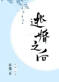 逃婚之后gl封面