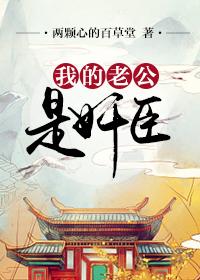 我的老公是奸臣封面