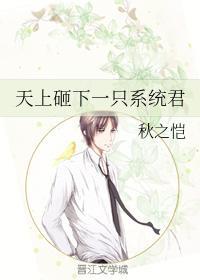 天上砸下一只系统君封面