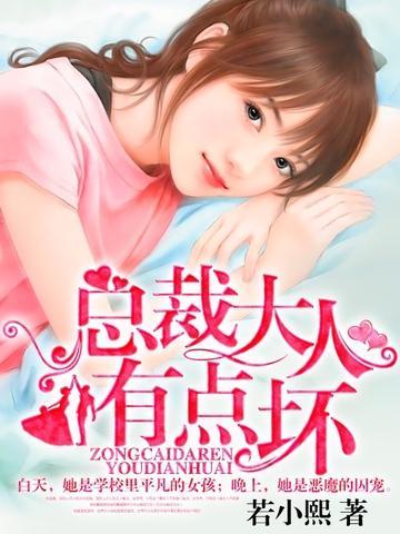 总裁大人有点坏封面
