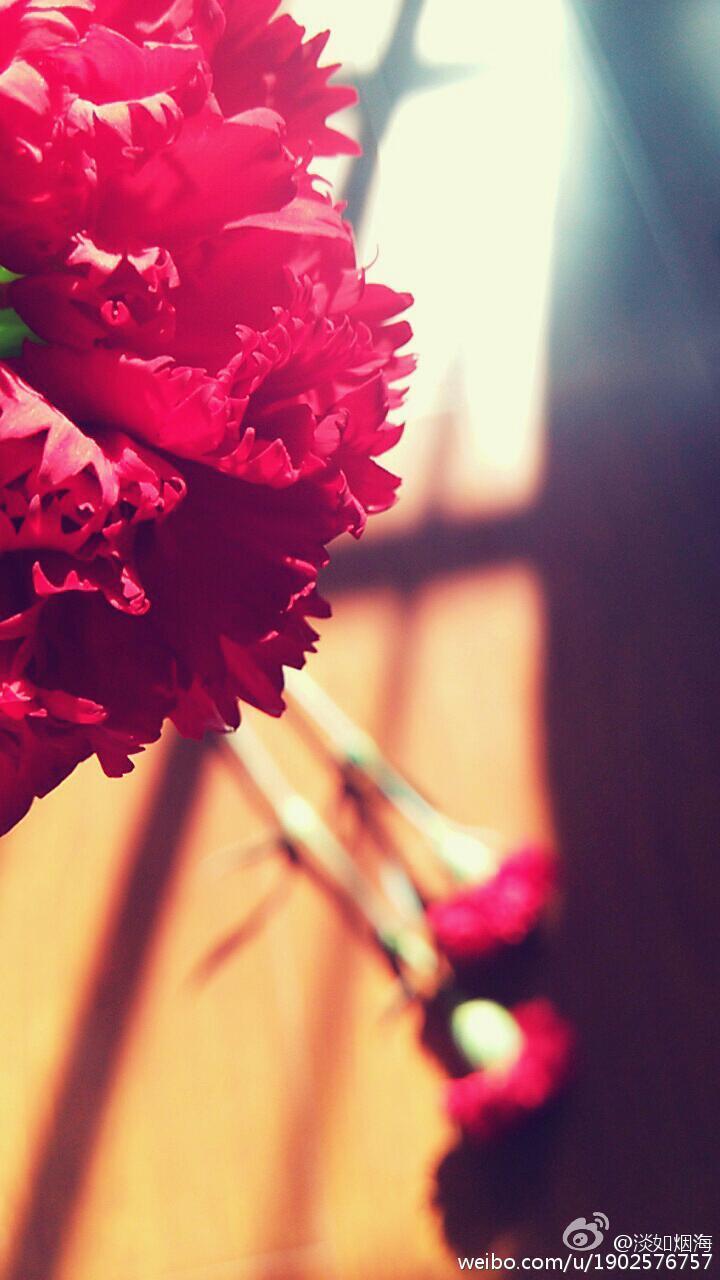 花开予夏封面