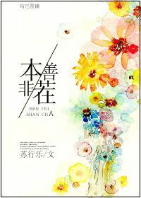 本非善茬封面