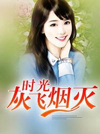 时光灰飞烟灭封面