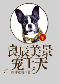 良辰美景宠上天封面