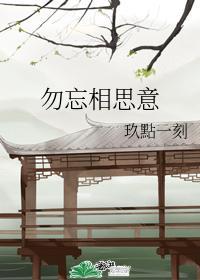 勿忘相思意封面