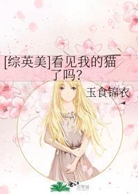 [综英美]看见我的猫了吗？封面