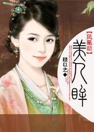 凤凰劫·美人眸封面