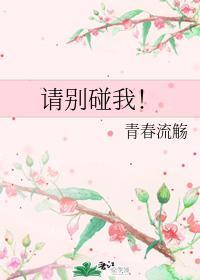 请别碰我！封面