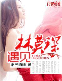 遇见林莫琛封面