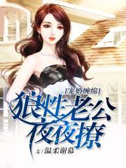 宠婚缠绵:狼性老公,夜夜撩封面