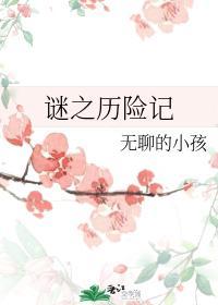 谜之历险记封面