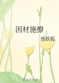 因材施撩封面