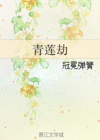 青莲劫封面