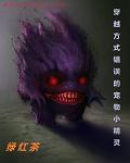 穿越方式错误的宠物小精灵封面