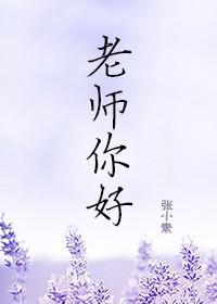 老师，你好封面