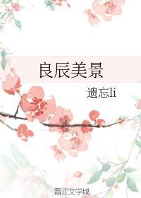 良辰美景封面