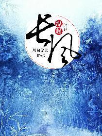 缘起长风封面