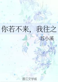 你若不来，我往之封面