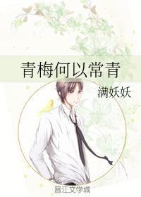 青梅何以常青封面