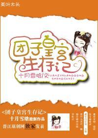 团子皇宫生存记封面