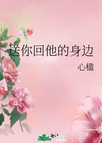 送你回他的身边封面