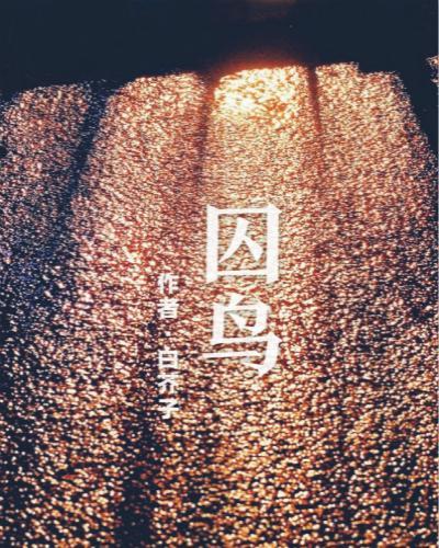 囚鸟封面
