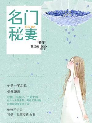 名门秘妻封面