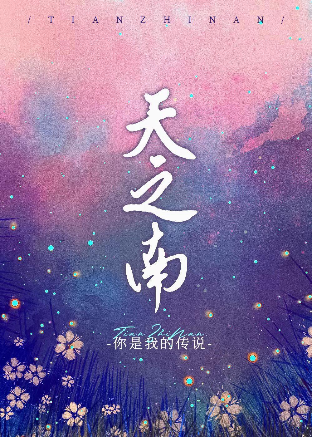 天之南封面
