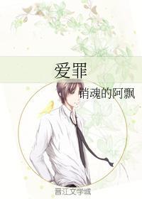 爱罪封面