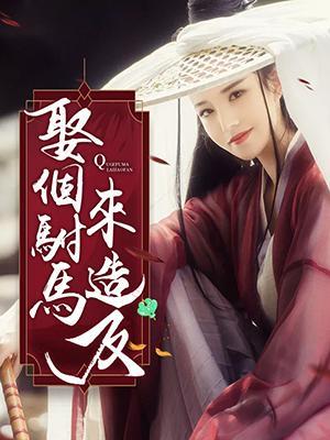 娶个驸马来造反封面