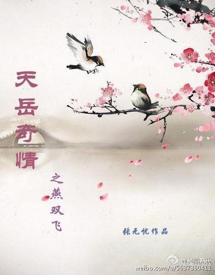 天岳奇情之风起边塞封面