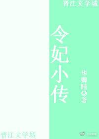 令妃小传封面
