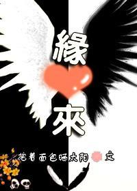 缘来(穿越)封面