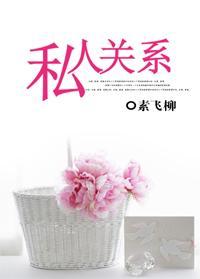 私人关系封面