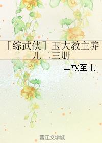 ［综武侠］玉大教主养儿二三册封面