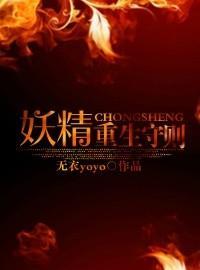 妖精重生守则封面
