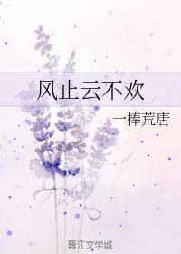 风止云不欢封面