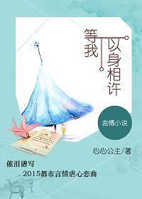 等我以身相许封面