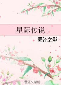 星际传说封面
