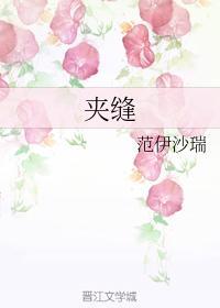夹缝封面
