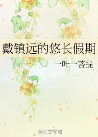 戴镇远的悠长假期封面