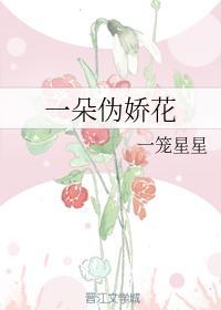 一朵伪娇花封面