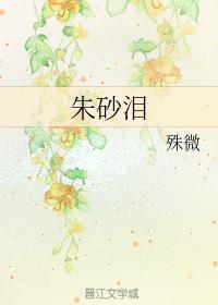 朱砂泪封面