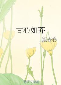 甘心如芥封面